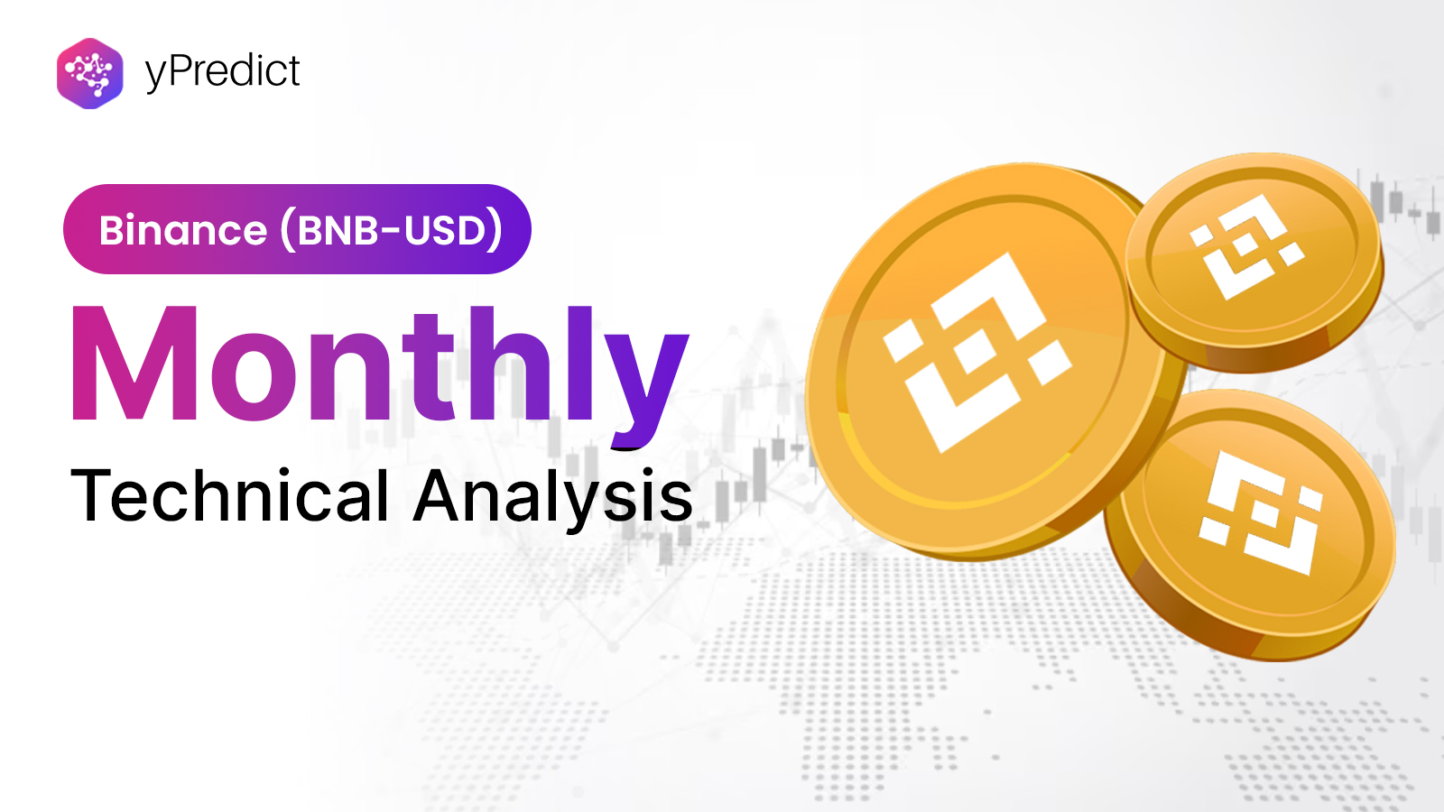 BNB Monthly Technical Analysis 2024
