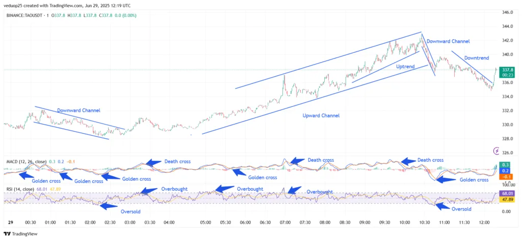 Chart 15- TAO/USDT M1 Chart, Analysed By Anushri Varshney, Published on TradingView, June 29, 2025