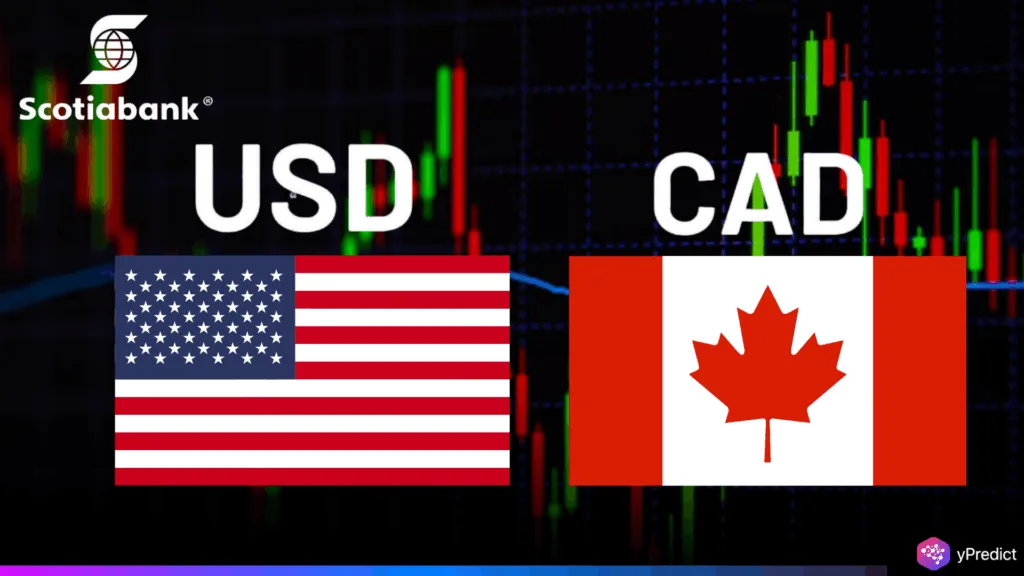 Scotiabank Sees Bearish USD Pattern, CAD Supported by Risk Pricing
