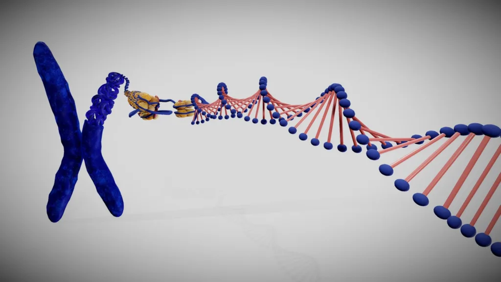 New AI Tool Reconstructs 3D Chromosome Structures in Single Cells