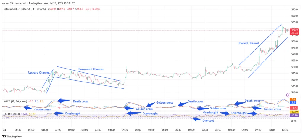 Chart 1- BCH/USDT M1 Chart, Analysed By Anushri Varshney, Published on TradingView, July 25, 2025