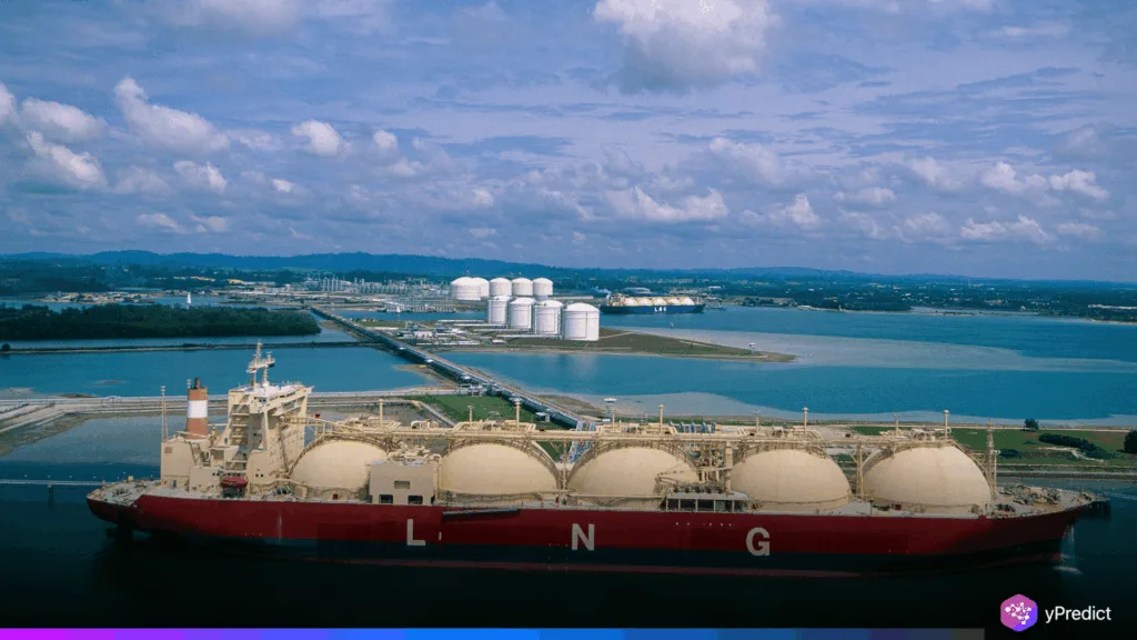 LNG imports