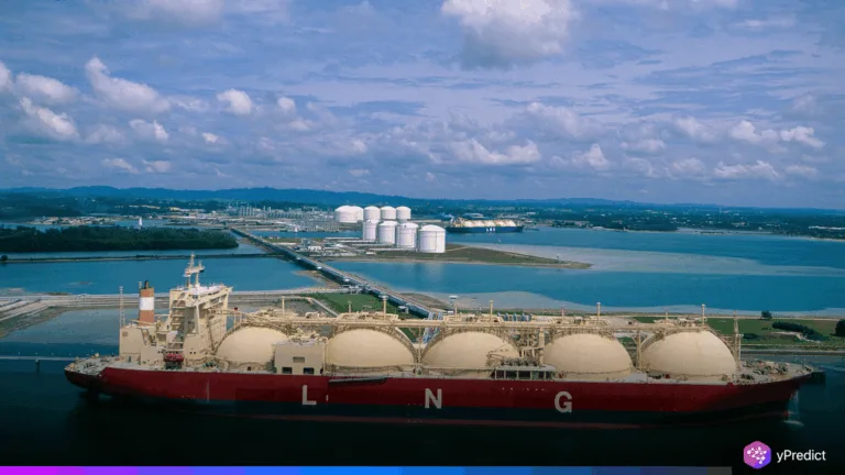 LNG imports