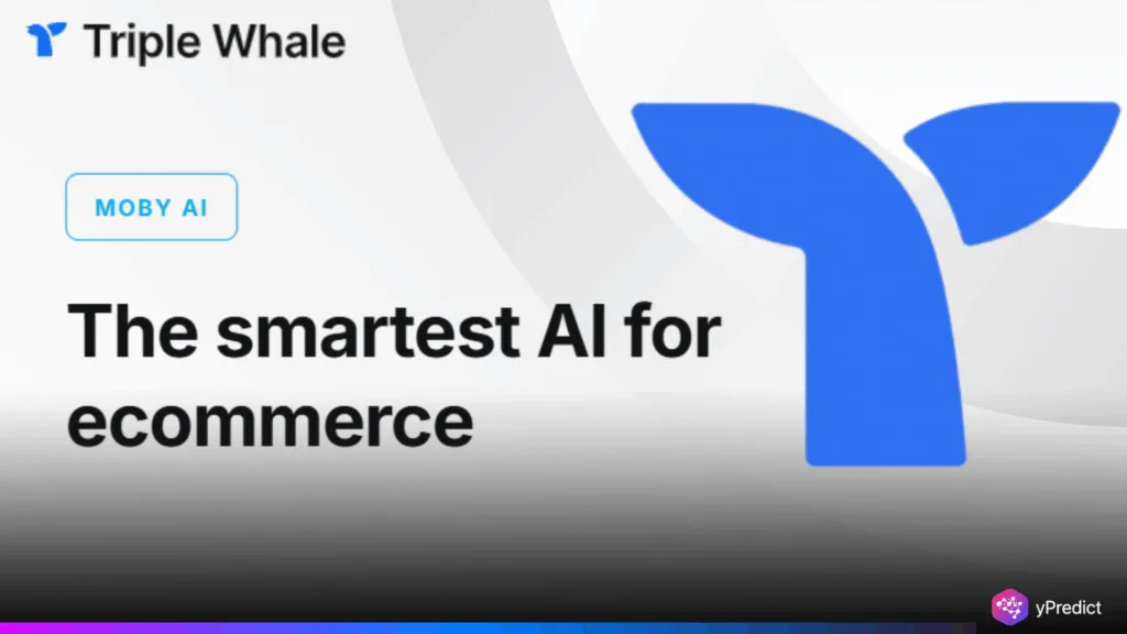 e-commerce AI assistant