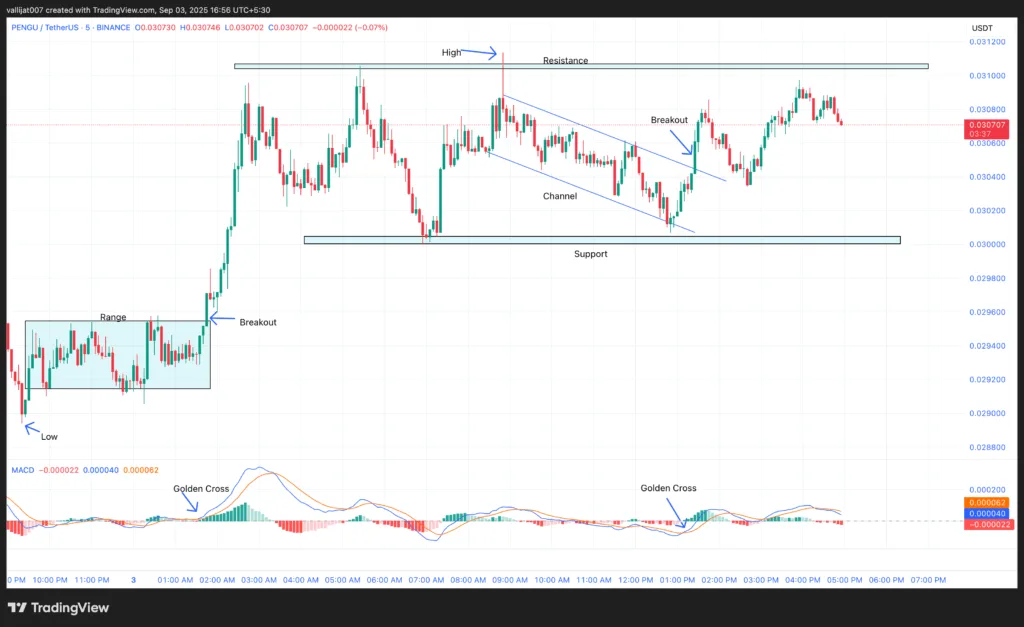 Chart 1: PENGU/USDT M5 Chart, Vallijat007, TradingView, September 3, 2025