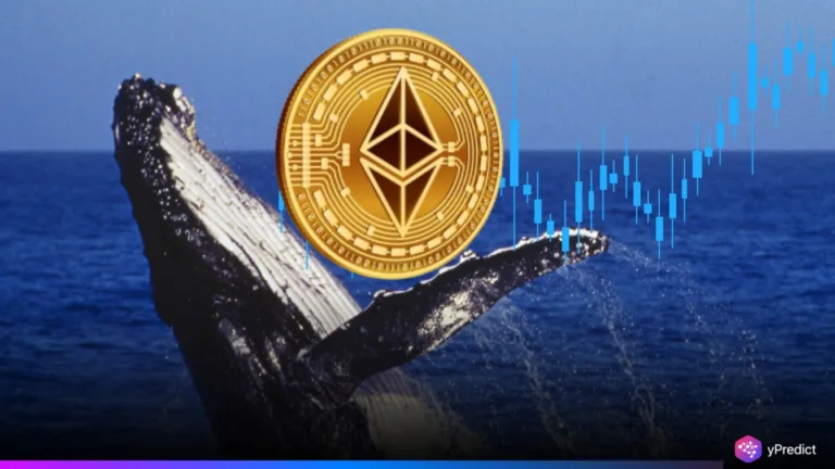 Whale Wallet Sparks AI Signals After Sudden ETH Purchase and BNB Transaction