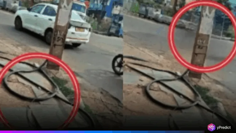 GCC Fake Photo Sparks AI Misuse Controversy in Chennai