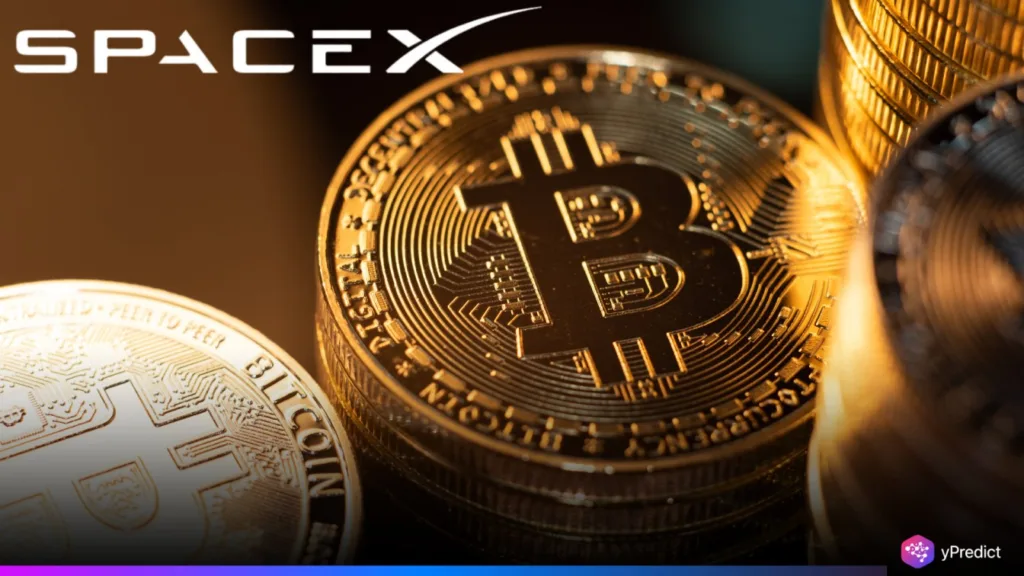 SpaceX Bitcoin Holdings Cross $1 Billion as Price Hits Record High