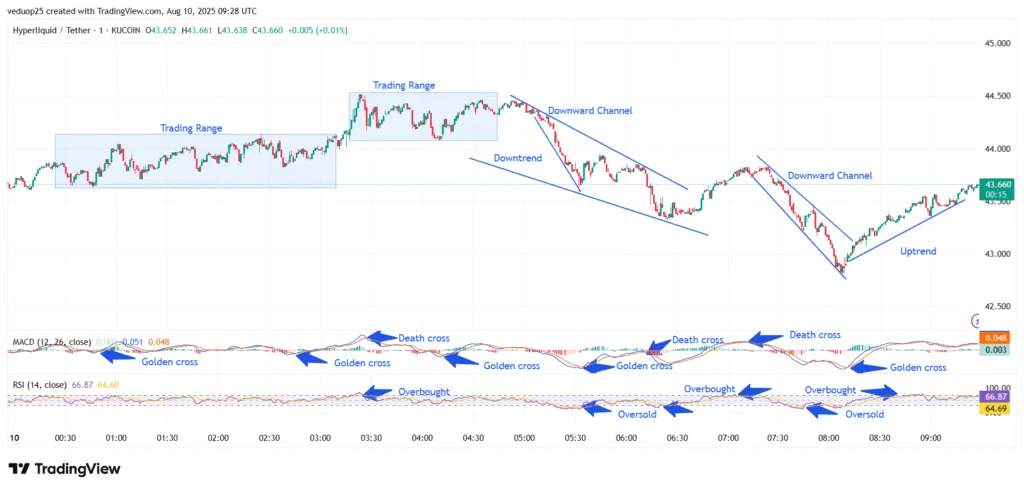 Chart 1- HYPE/USDT M1 Chart, Analysed By Anushri Varshney, Published on TradingView, August 10, 2025