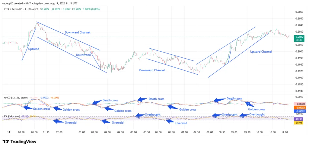 Chart 1- IOTA/USDT M1 Chart, Analysed By Anushri Varshney, Published on TradingView, August 19, 2025