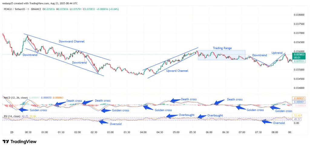 Chart 1- PENGU/USDT M1 Chart, Analysed By Anushri Varshney, Published on TradingView, August 23, 2025