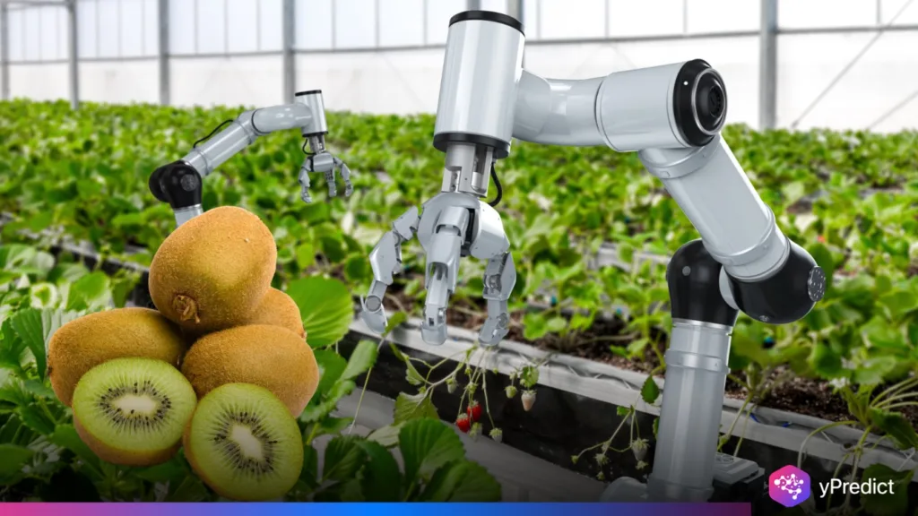 AI Robots Transform the Way Kiwi Fruit is Harvested Today