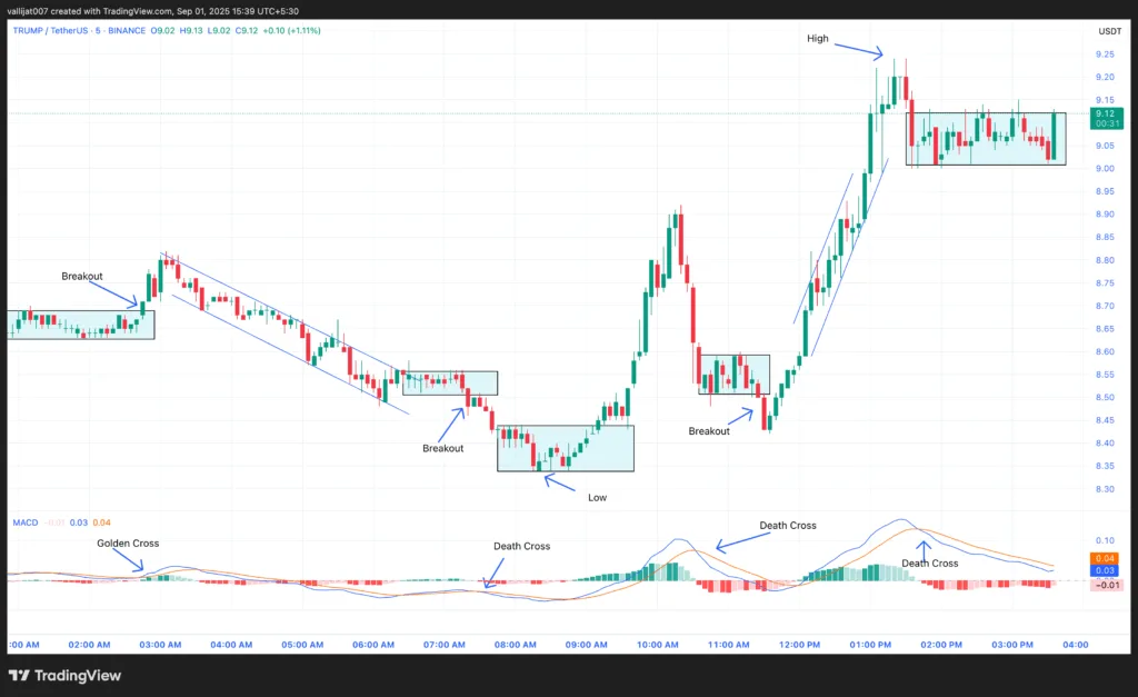 Chart 1: TRUMP/USDT M5 Chart, Analysed by Vallijat007, published on TradingView, September 1, 2025